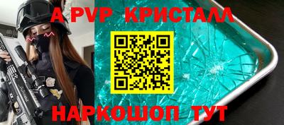 apvp Кингисепп