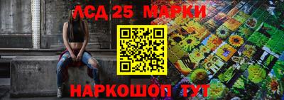 apvp Кингисепп