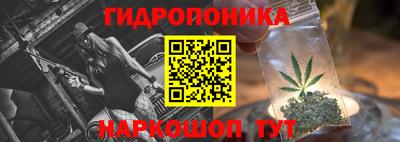 apvp Кингисепп