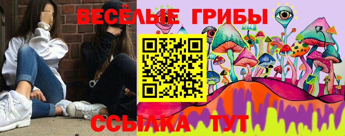 Кострома  Псилоцибиновые грибы MAGIC MUSHROOMS  Вход с VPN 