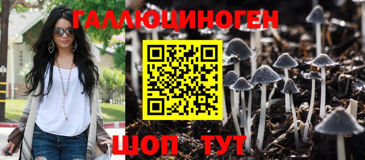 Галлюциногенные грибы Magic Shrooms Кострома