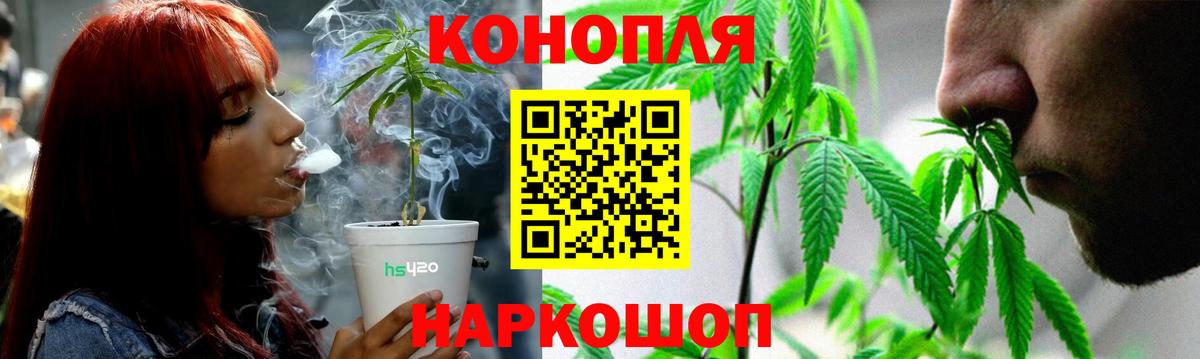 Кострома  Конопля OG Kush  Марихуана конопля  Бошки марихуана план  Вход с VPN 